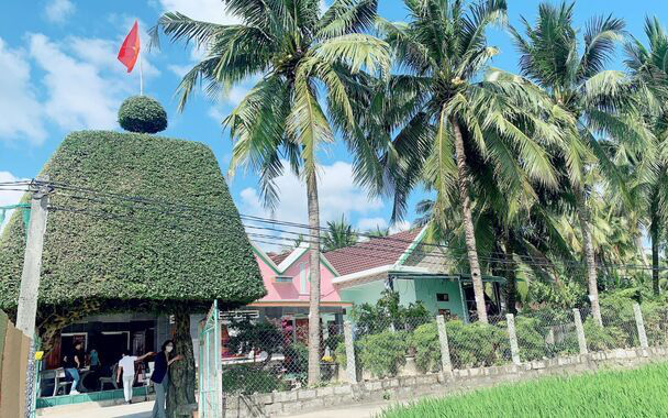Xôn xao hai cây duối cổ thụ 150 tuổi làm thành cái cổng nhà đang gây sốt sình sịch ở vùng quê Bình Định