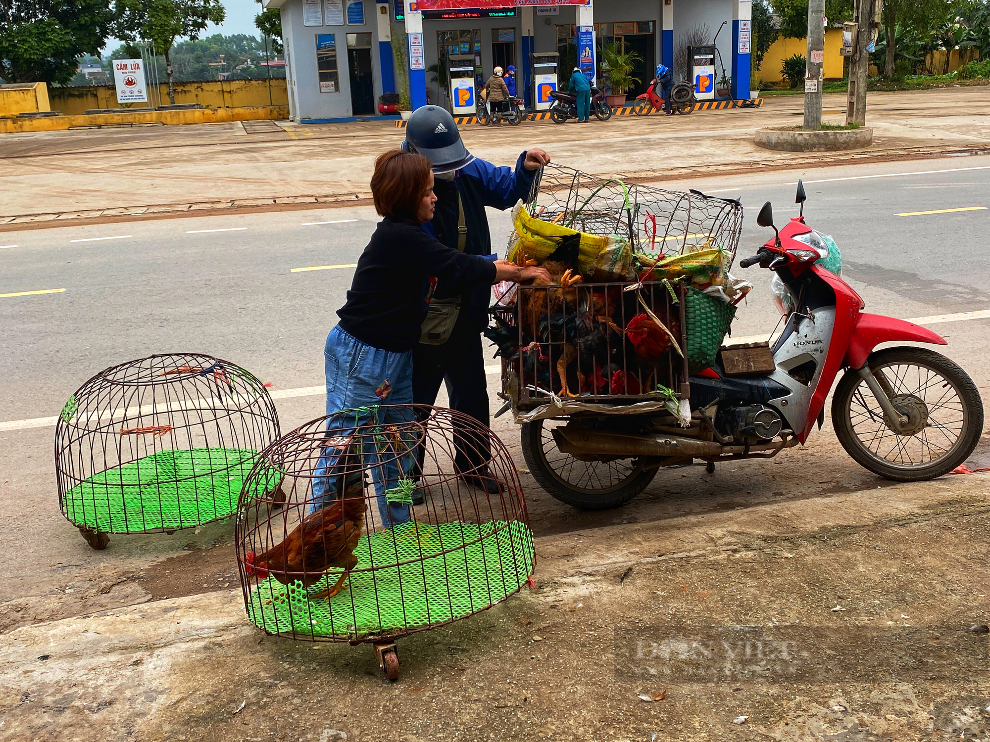 Ghi tại chợ đầu mối gà miền Bắc: Giá gà lên nhanh, thị trường sau Tết ảm đạm - Ảnh 6.