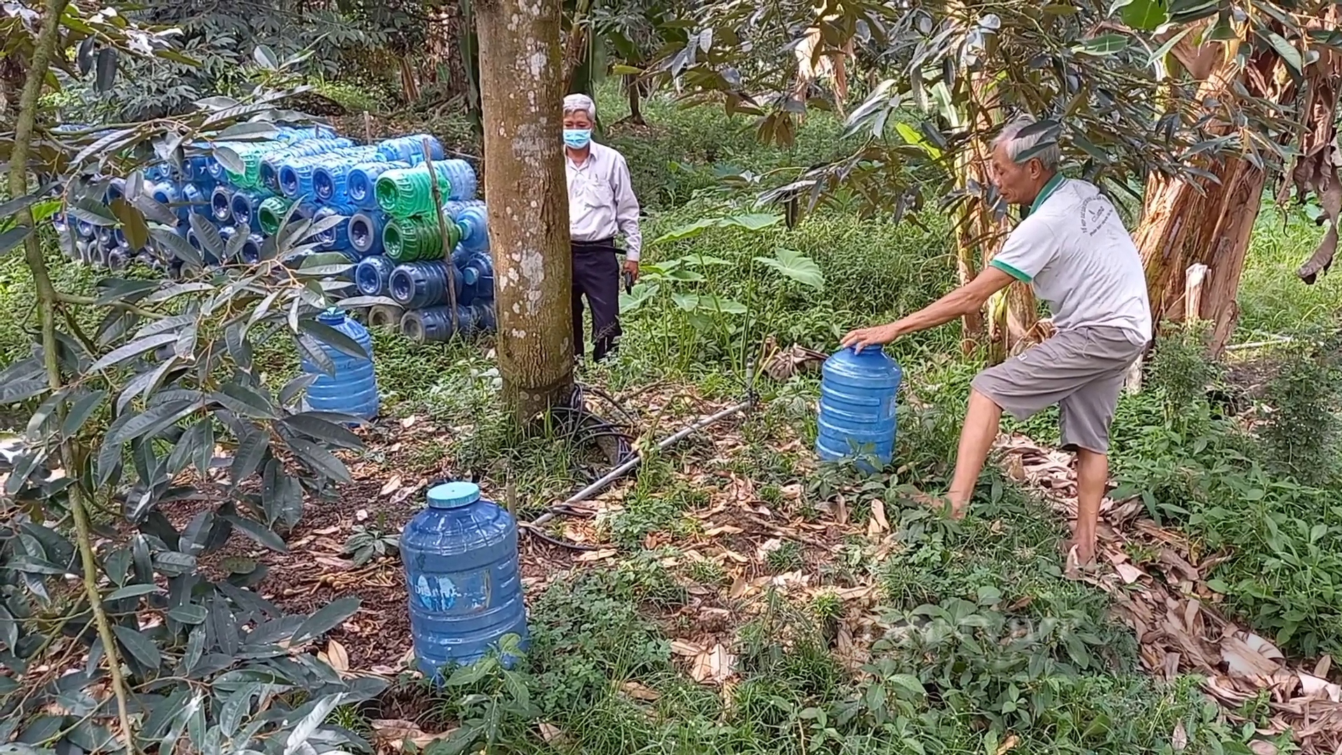 Bài 2. Dùng chiến thuật “mỗi gốc cây, vài bình nước”, ông nông dân đưa vườn sầu riêng vượt hạn, mặn ngon ơ - Ảnh 3.