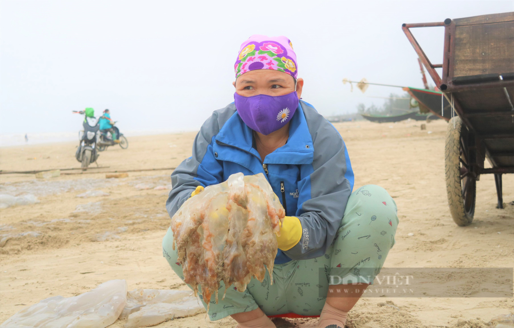 Ngư dân Hà Tĩnh vào mùa thu hoạch sứa biển, bỏ túi hàng triệu đồng mỗi ngày - Ảnh 7.