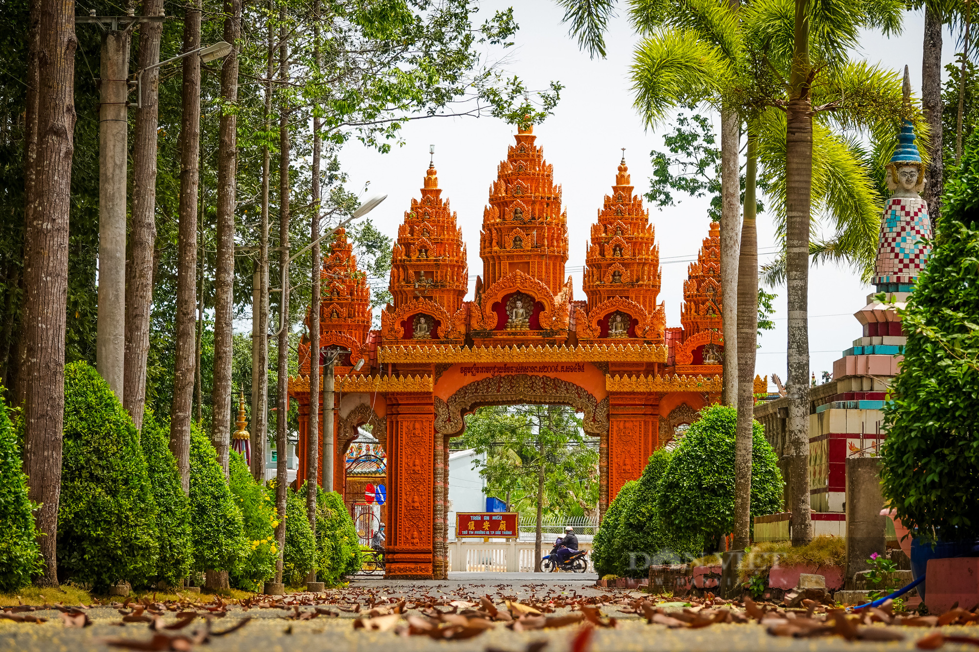 Ngôi chùa Khmer trăm năm tuổi với hàng trăm cây sao cổ thụ “độc” nhất Sóc Trăng - Ảnh 2.