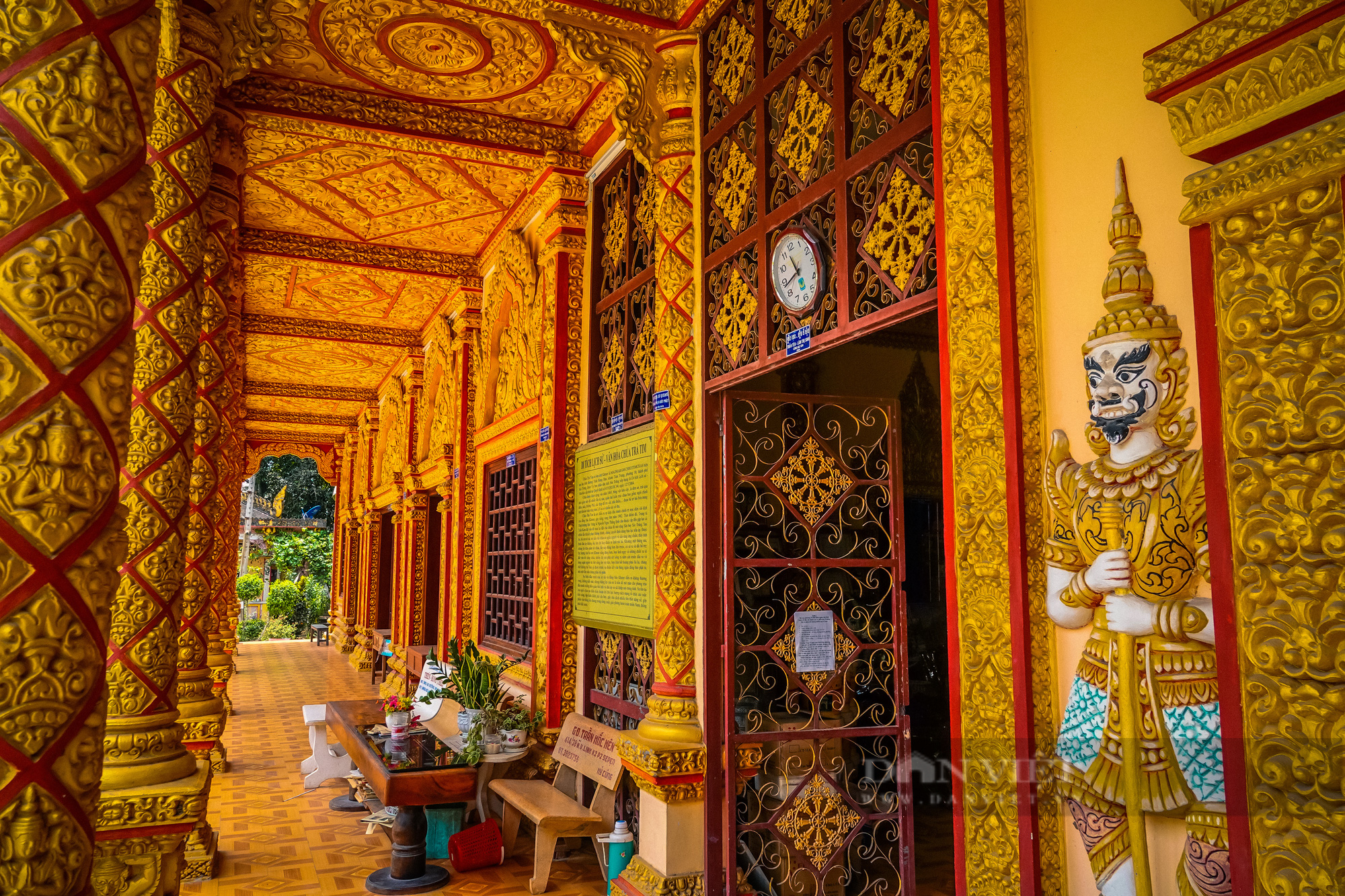 Ngôi chùa Khmer trăm năm tuổi với hàng trăm cây sao cổ thụ “độc” nhất Sóc Trăng - Ảnh 11.