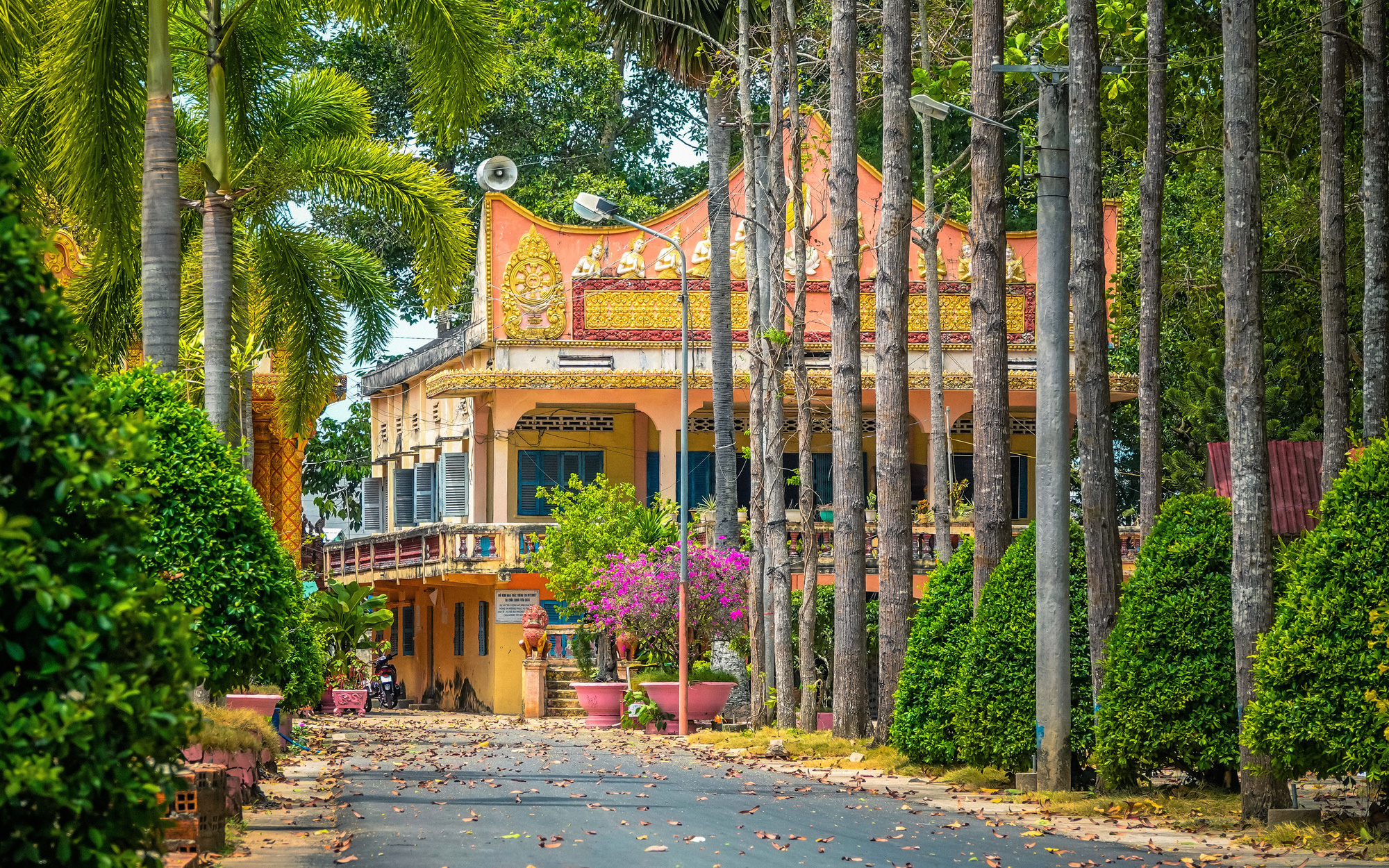 Ngôi chùa Khmer trăm năm tuổi với hàng trăm cây sao cổ thụ “độc nhất vô nhị&quot; ở Sóc Trăng