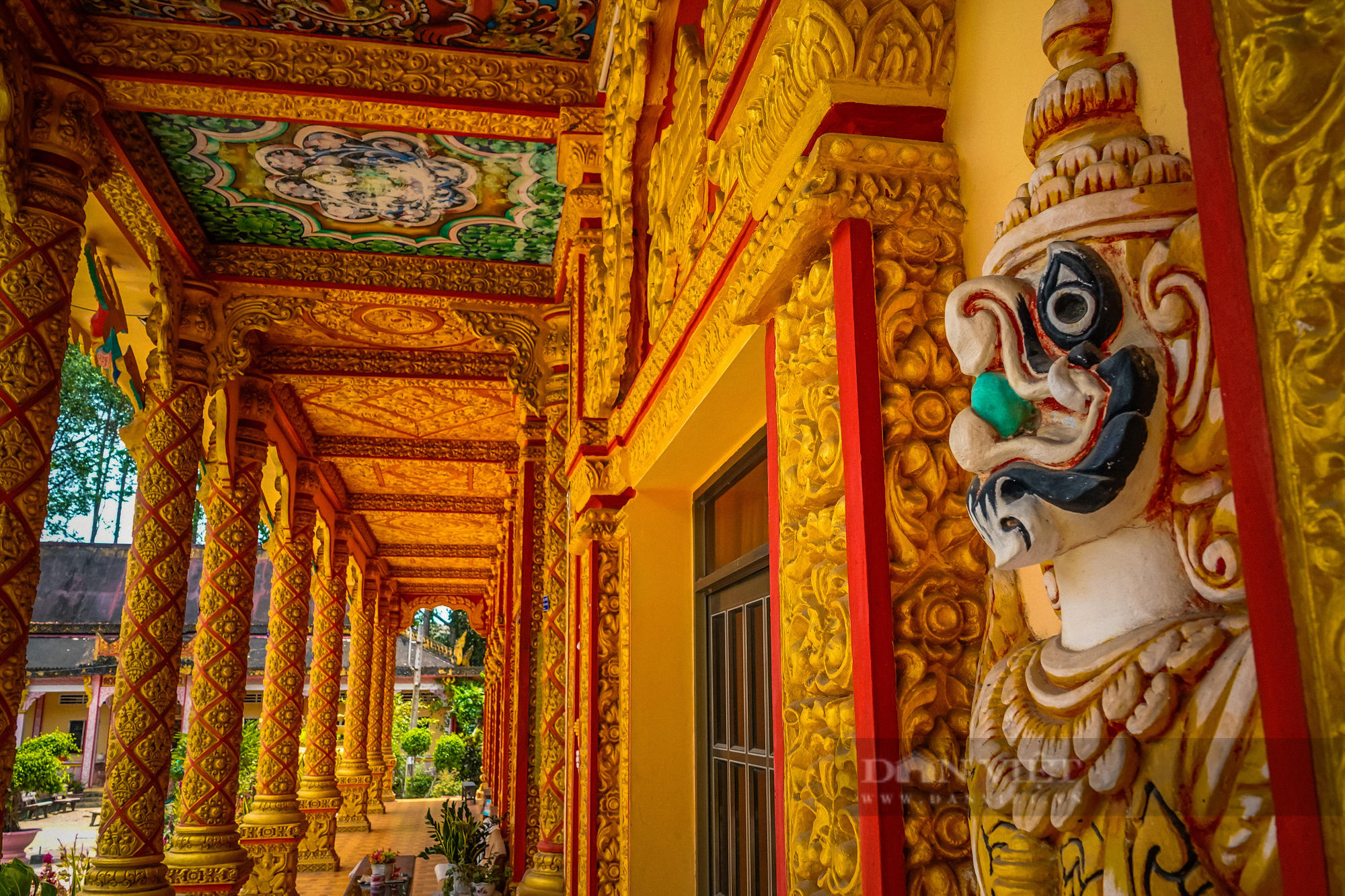 Ngôi chùa Khmer trăm năm tuổi với hàng trăm cây sao cổ thụ “độc” nhất Sóc Trăng - Ảnh 9.