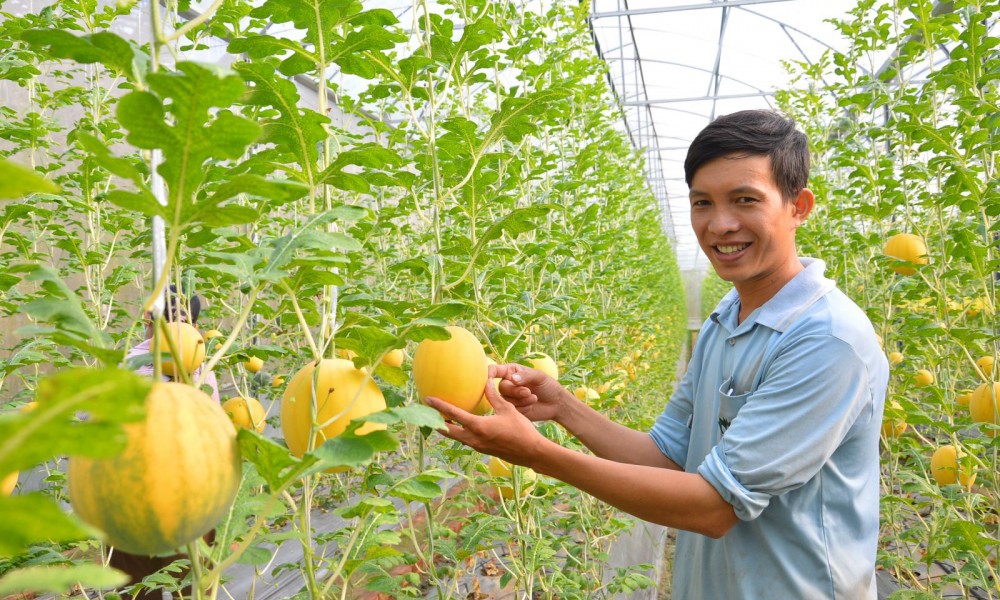 Lợi ích kép từ phát triển du lịch nông thôn gắn với nông thôn mới  - Ảnh 1.