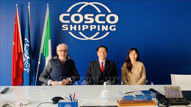 Vụ 100 container điều có nguy cơ bị lừa đảo: Hãng COSCO tạm thời ngừng giao hàng vài ngày, chờ Việt Nam xử lý - Ảnh 1.