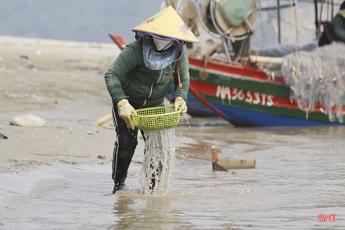 Hà Tĩnh: Chị em đi săn loài &quot;thần dược&quot; tăng cường bản lĩnh đàn ông dưới chân cảng cá Cửa Sót để...mưu sinh - Ảnh 10.