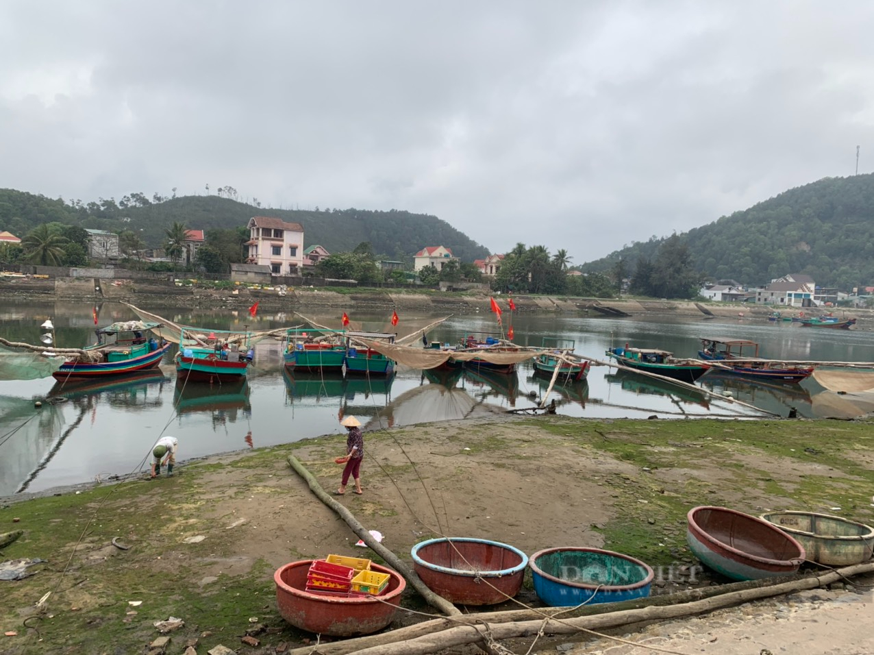 Giá nhiên liệu tăng chóng mặt, hàng trăm ngư dân &quot;gác thuyền&quot; nằm bờ     - Ảnh 3.