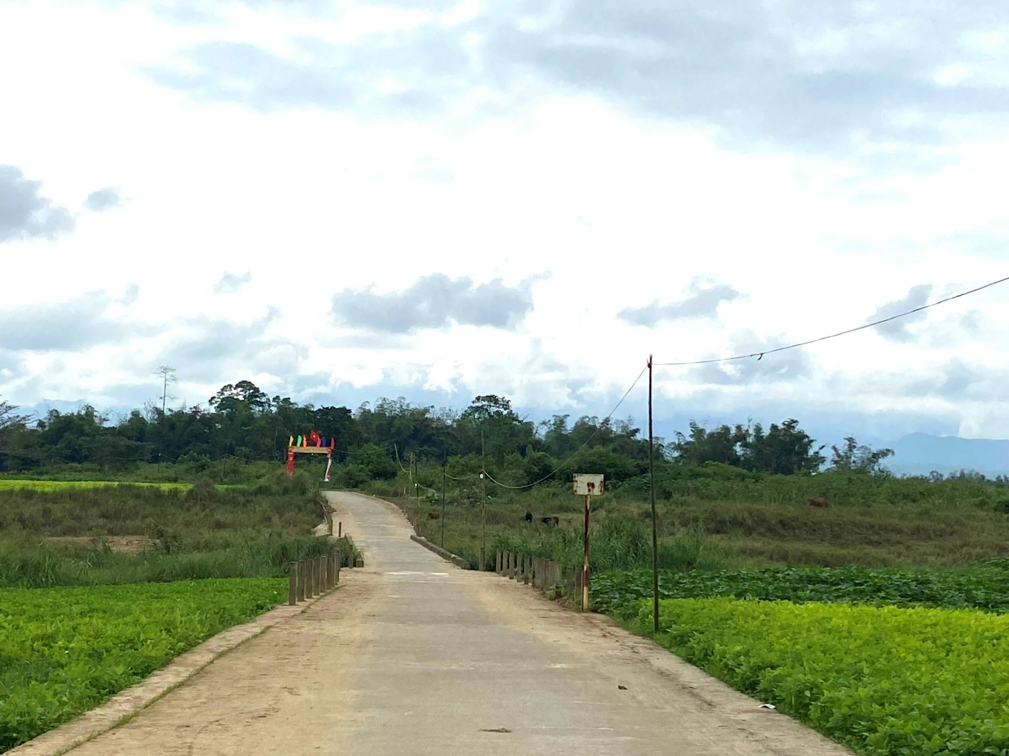 Kể chuyện làng: Trắng màu hoa bói - Ảnh 2.