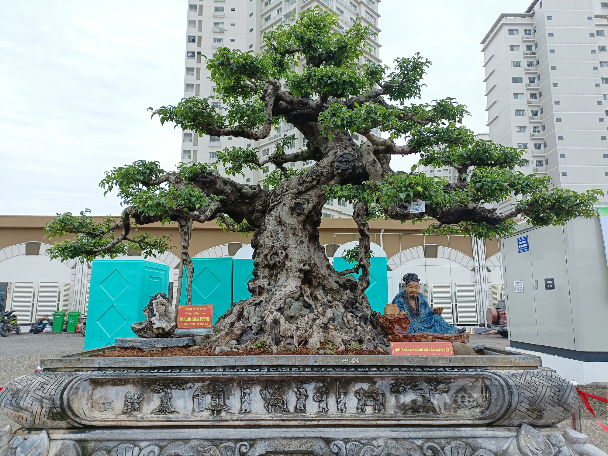 Sốt xình xịch: Siêu phẩm cây sanh lá móng cổ giá tiền tỷ và hàng loạt cây cảnh thế độc, lạ  - Ảnh 10.