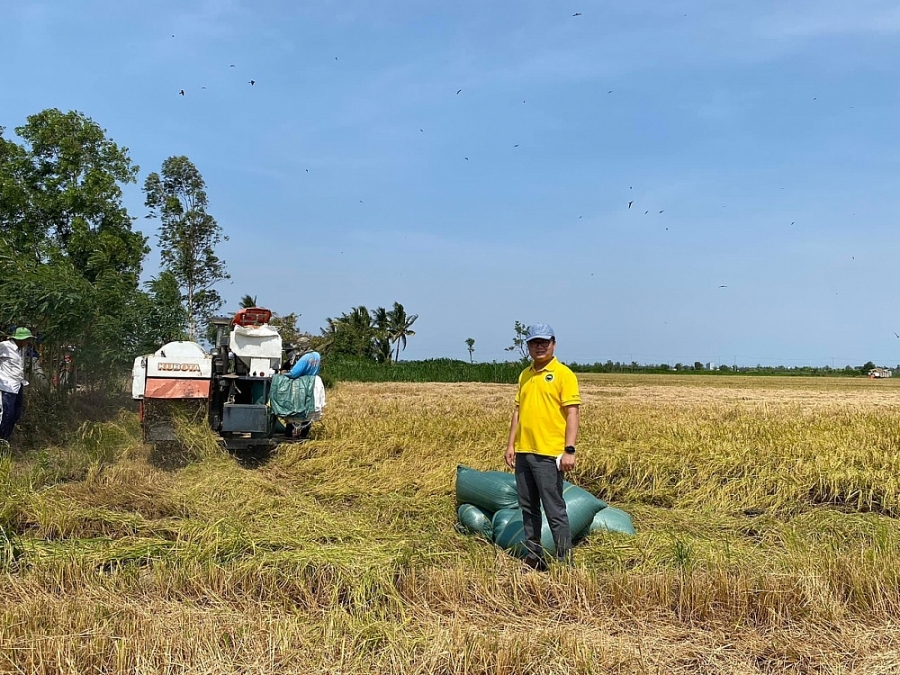 Giá lúa gạo đồng loạt tăng, thị trường xuất khẩu gạo sôi động - Ảnh 1.