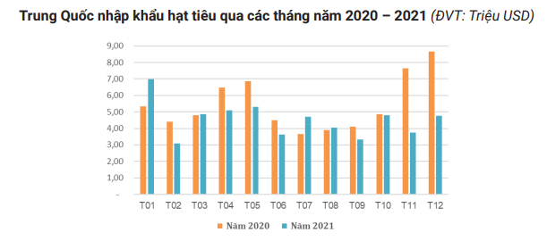 Thị phần hạt tiêu Việt tăng mạnh ở Trung Quốc, nhà nhập khẩu sắp tăng mua... - Ảnh 1.