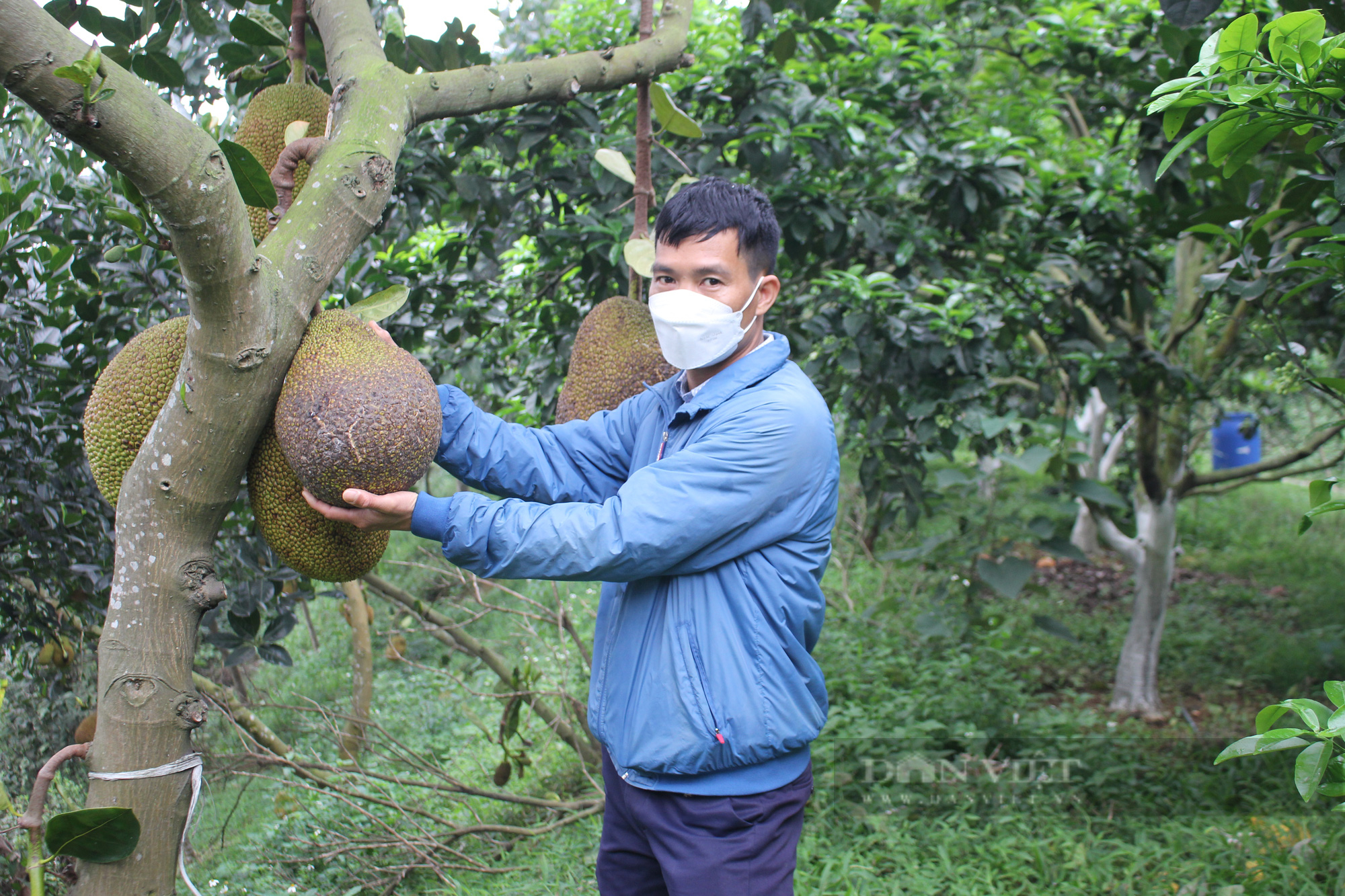 Hà Nội: &quot;Hô biến&quot; mảnh đất mọc đầy cỏ dại thành trang trại nuôi con đặc sản, anh nông dân thu 700 triệu đồng/năm  - Ảnh 4.