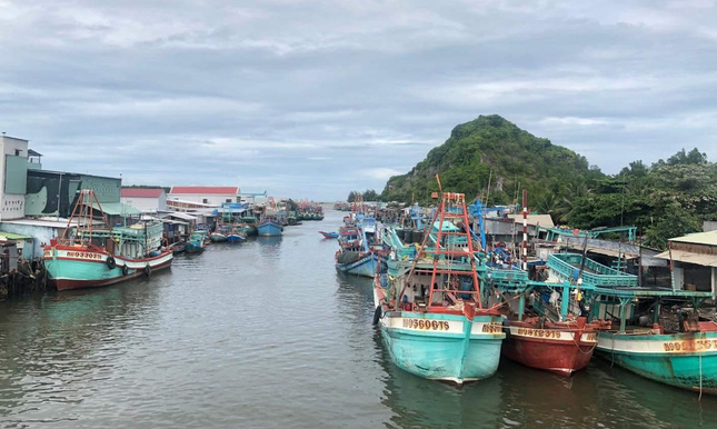 Hàng trăm tàu cá ở Kiên Giang nằm bờ vì xăng dầu tăng cao - Ảnh 2.