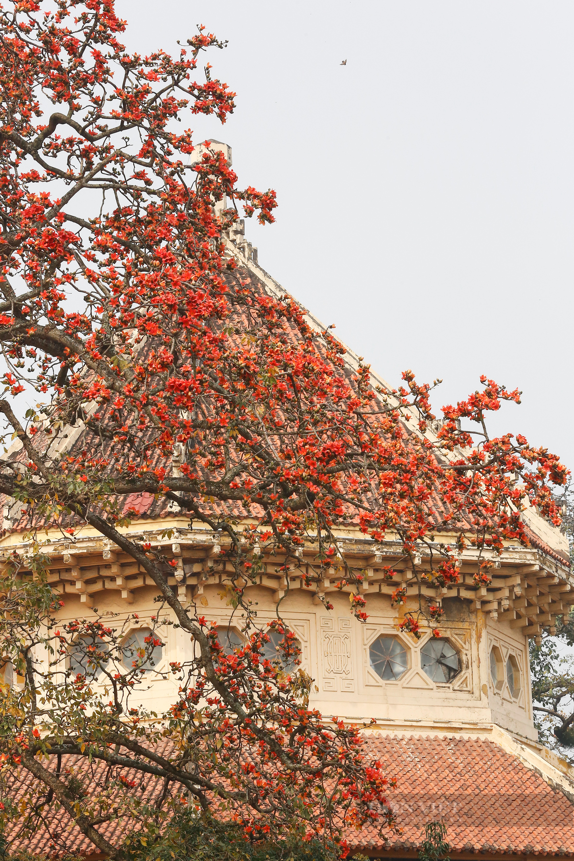 Người Hà Nội &quot;phát sốt&quot; với tour du lịch “Bác Cổ - Mùa hoa gạo” với không gian làng trong phố - Ảnh 4.