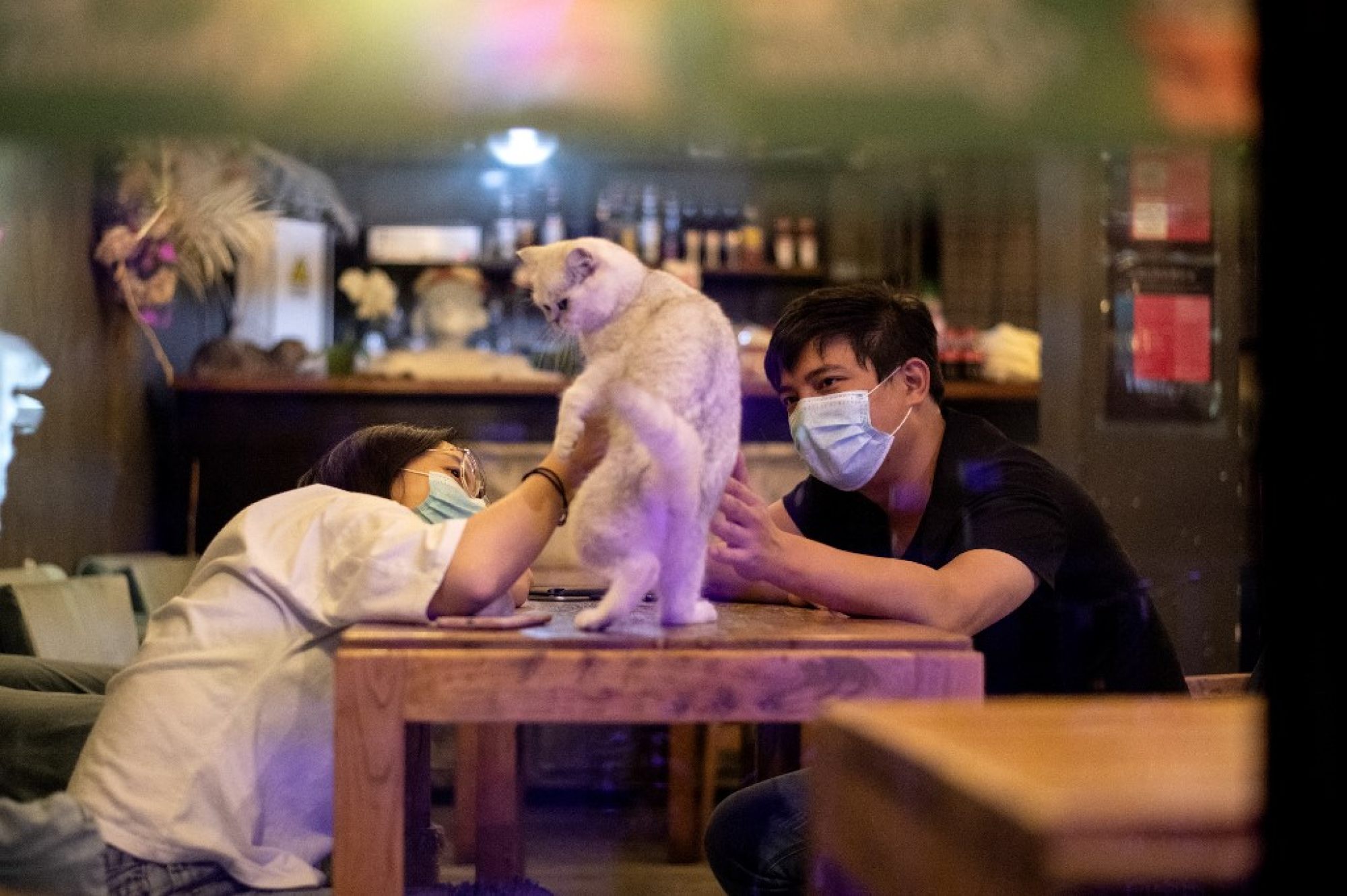 Trung Quốc: Kêu gọi đạo luật phòng sát hại thú cưng vì đại dịch Covid-19 - Ảnh 2.