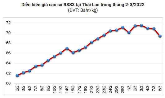 Thông tin lo lắng nhất đối với giá và xuất khẩu cao su của Việt Nam từ trước tới nay - Ảnh 3.