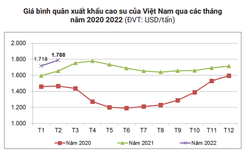 Thông tin lo lắng nhất đối với giá và xuất khẩu cao su của Việt Nam từ trước tới nay - Ảnh 7.