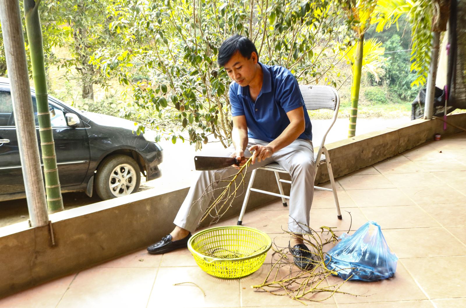 Cây thân như cột đình ra trái từng chùm, dân đem muối dưa, đã ai ăn chưa, chưa ăn thì lên nơi này - Ảnh 8.