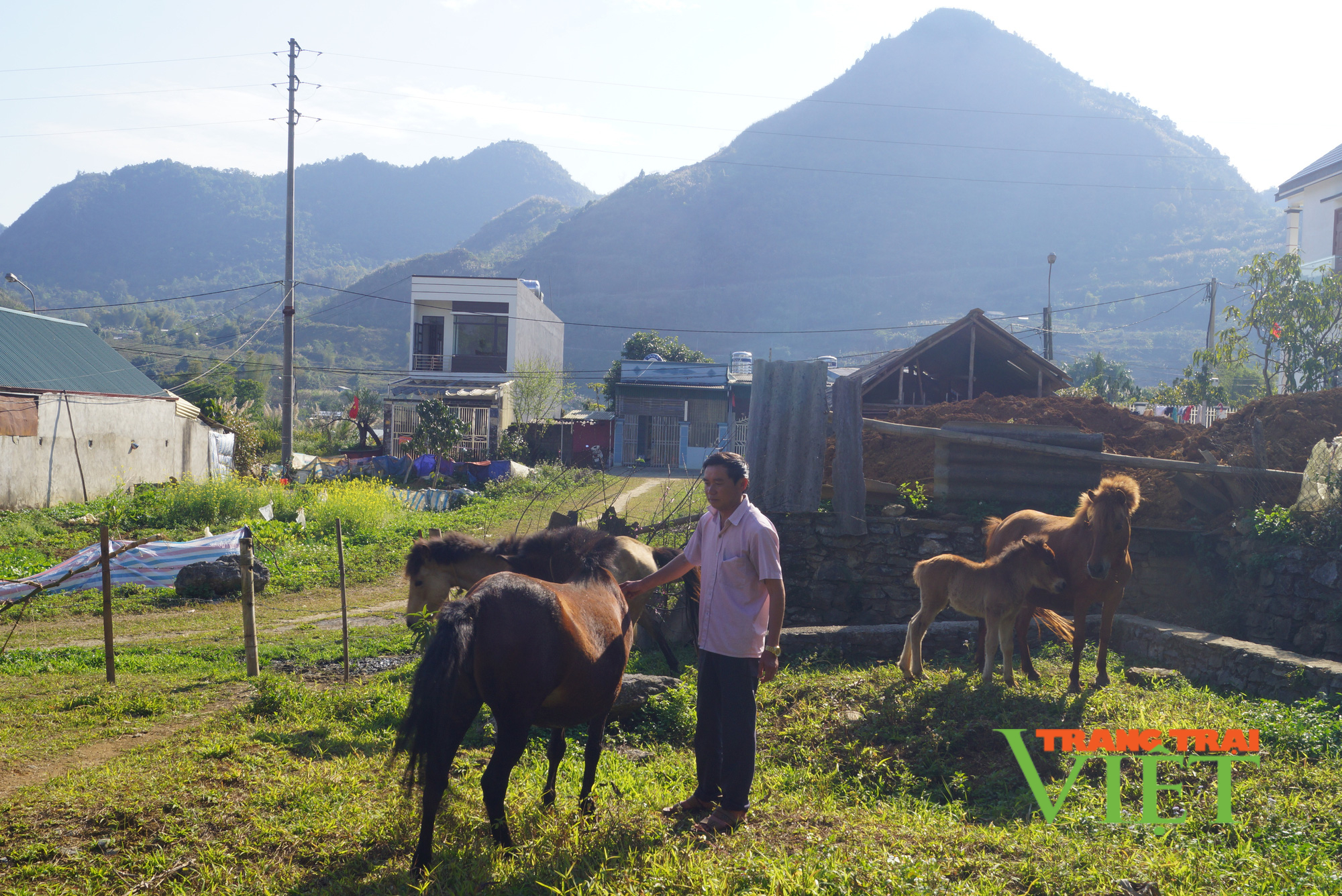Lai châu: Chi hội trưởng nông dân làm kinh tế giỏi - Ảnh 3. Lai châu: Chi hội trưởng nông dân làm kinh tế giỏi - Ảnh 3.