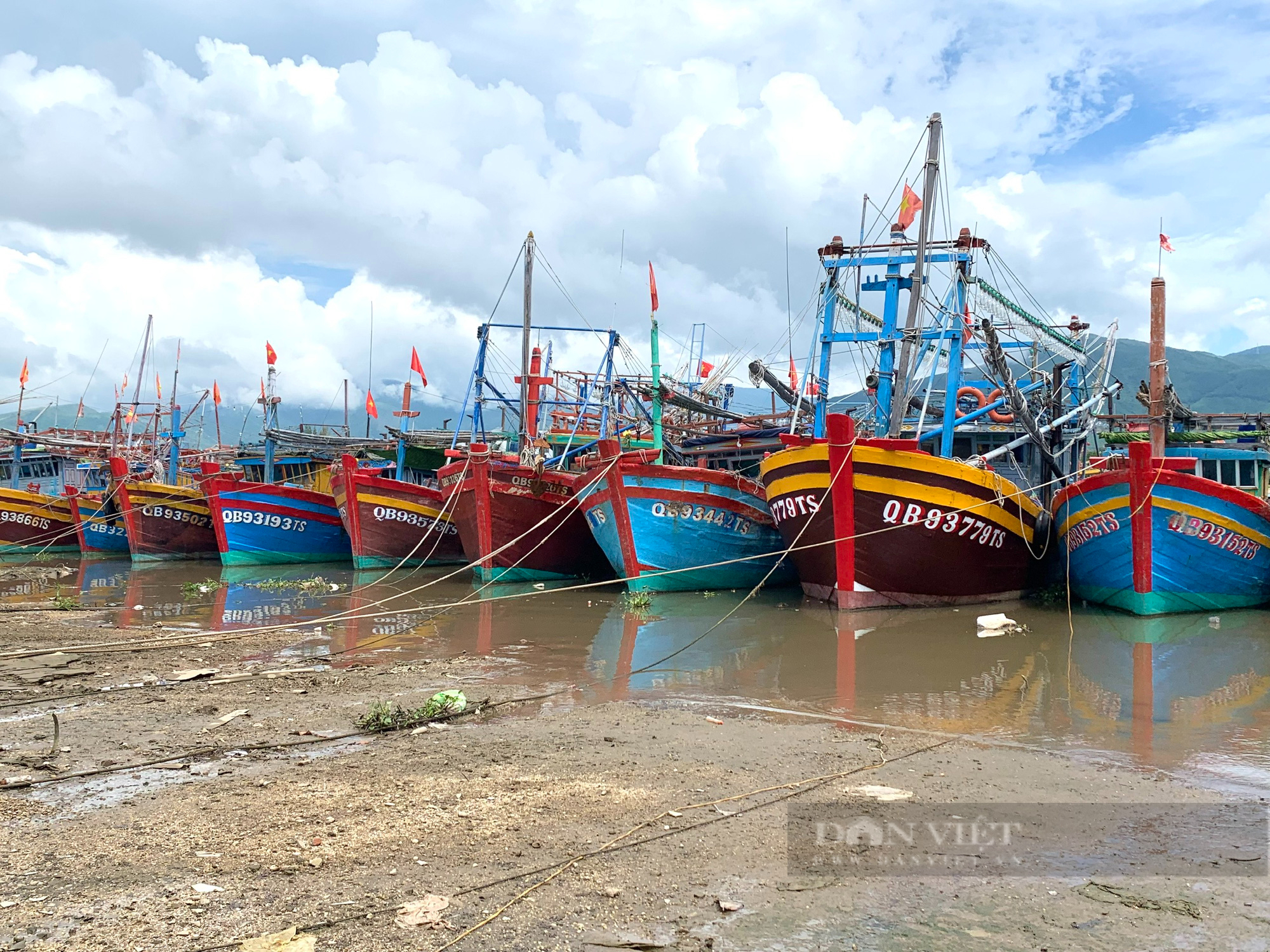 Quảng Bình: Ngư dân gác thuyền nằm bờ vì giá xăng dầu tăng cao - Ảnh 1.