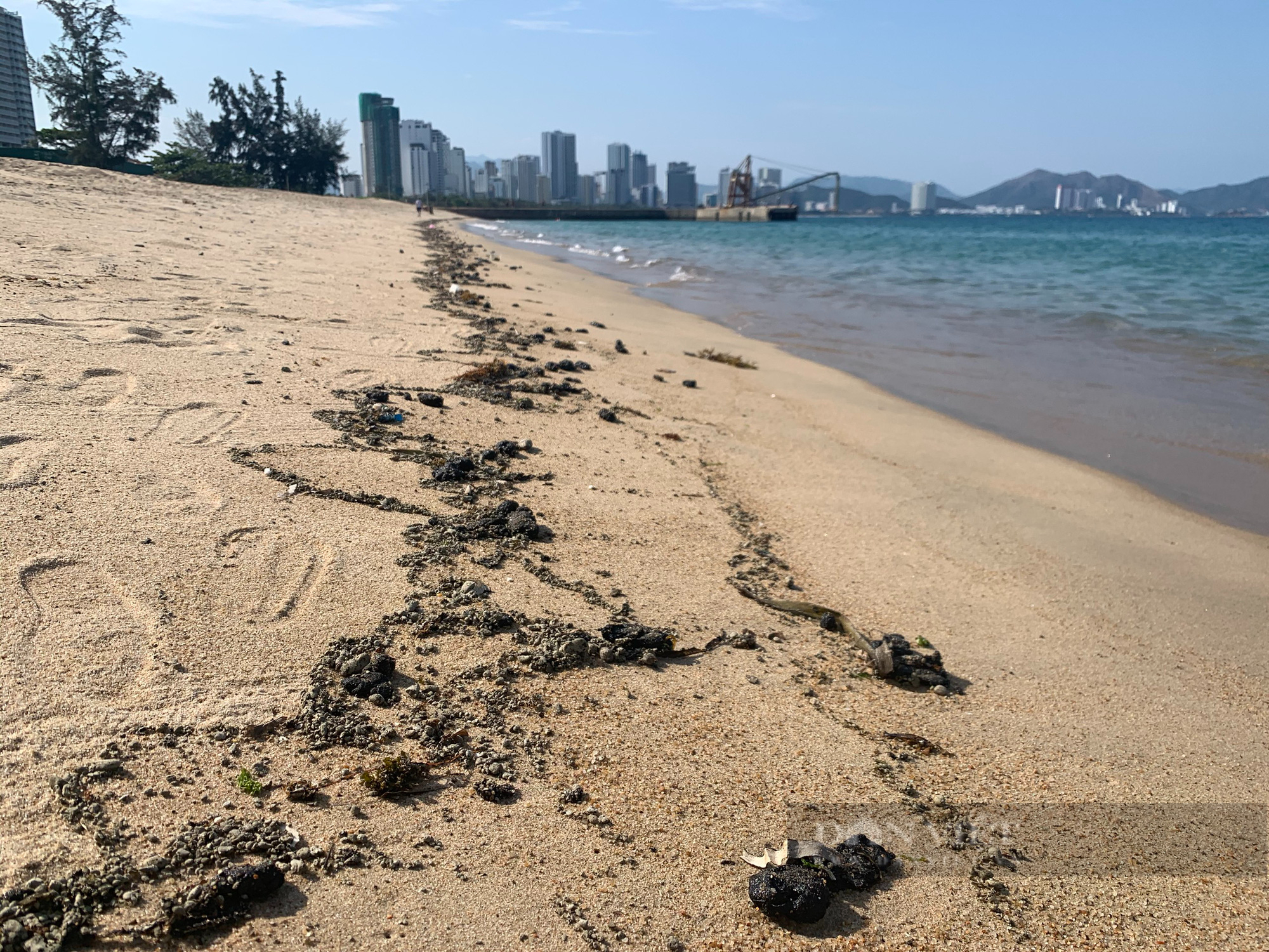 Xuất hiện dầu thô đen xì trôi dạt trên bãi biển Nha Trang  - Ảnh 3.