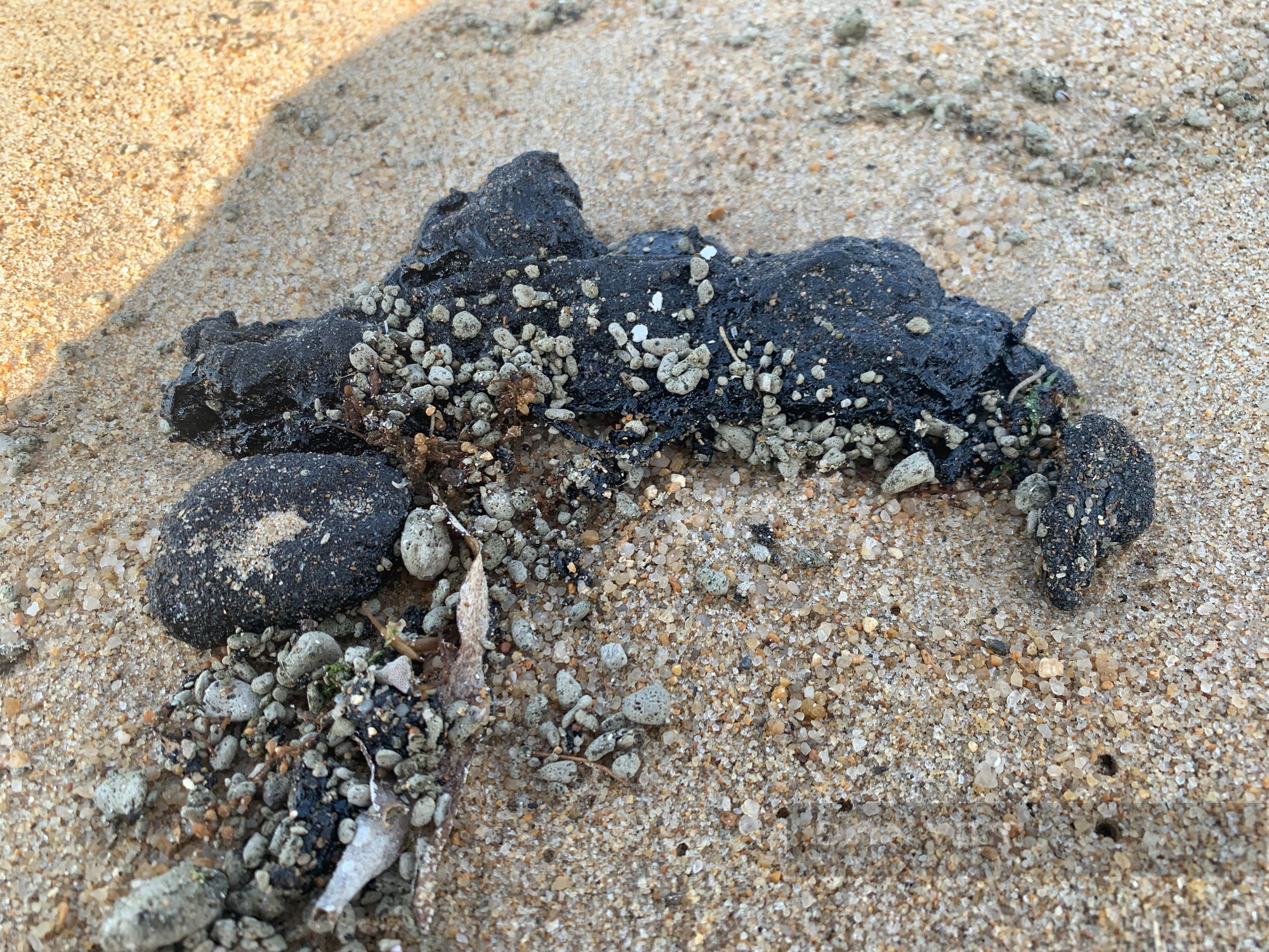 Xuất hiện dầu thô đen xì trôi dạt trên bãi biển Nha Trang  - Ảnh 1.