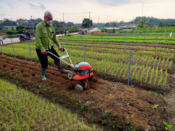 Tiếp sức hộ nghèo đất tổ - Ảnh 1.