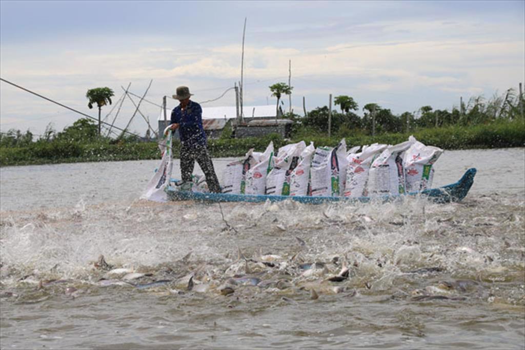 Từ ngày 25/3, Mỹ sẽ làm điều này với một sản phẩm thế mạnh của Nga, thủy sản Việt Nam có lợi thế ở Mỹ? - Ảnh 2.