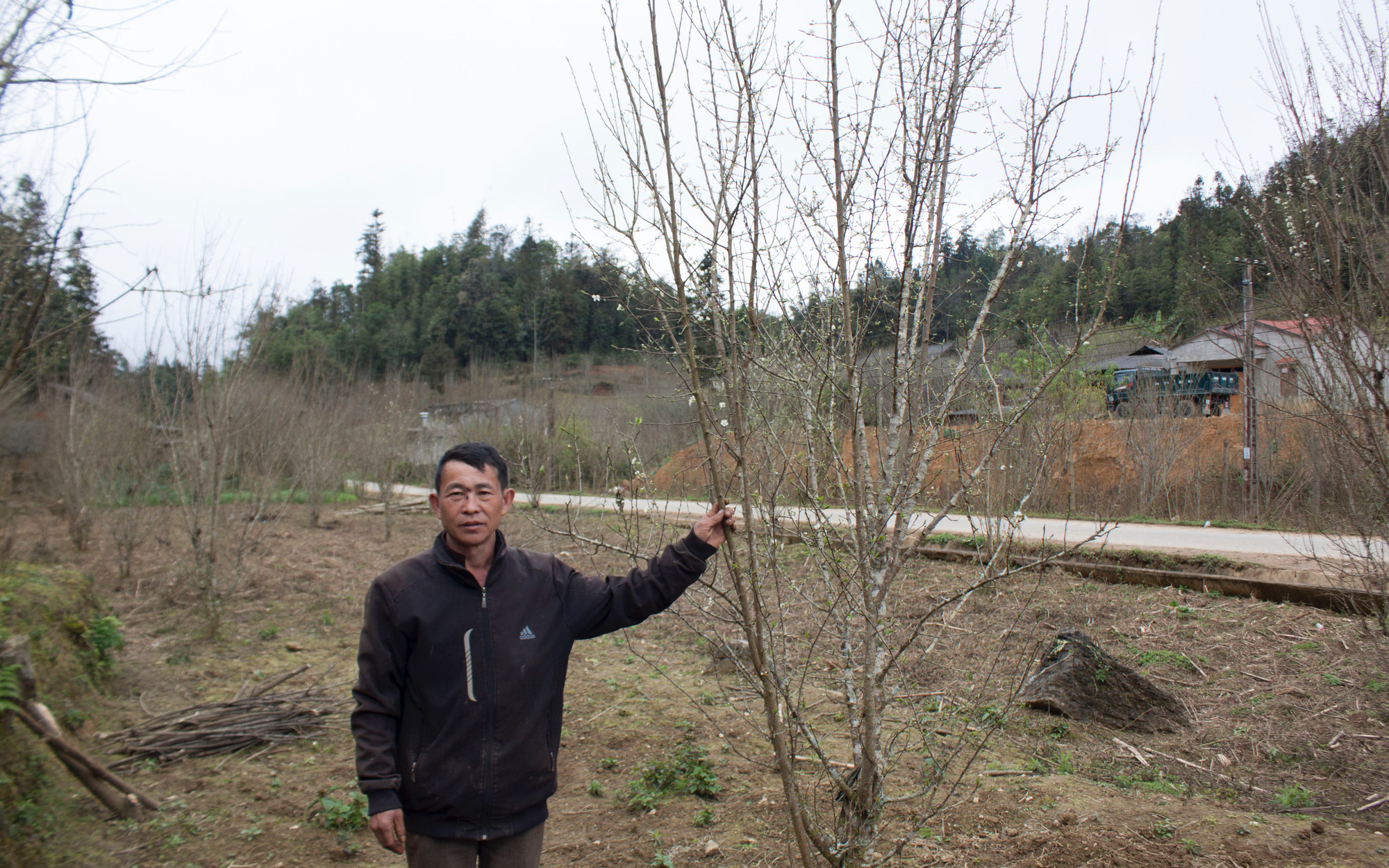 Miệt mài đưa giống cây mới, cây đặc sản về trồng, ông nông dân người Mông khiến cả thôn nể phục