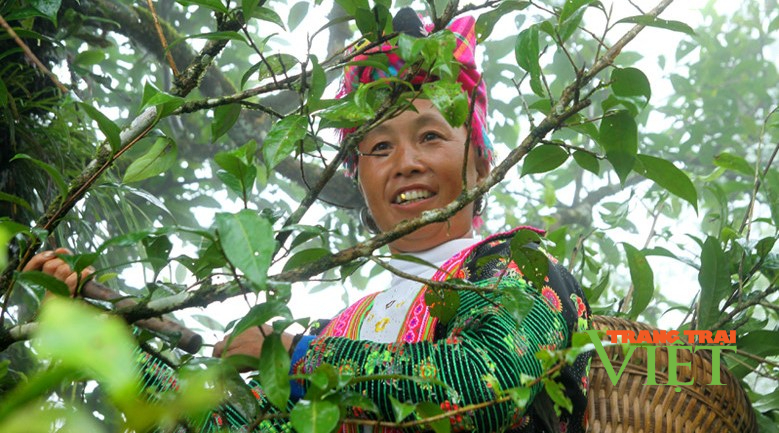 Vùng cao Sìn Hồ khởi sắc nhờ chương trình xây dựng nông thôn mới - Ảnh 1.