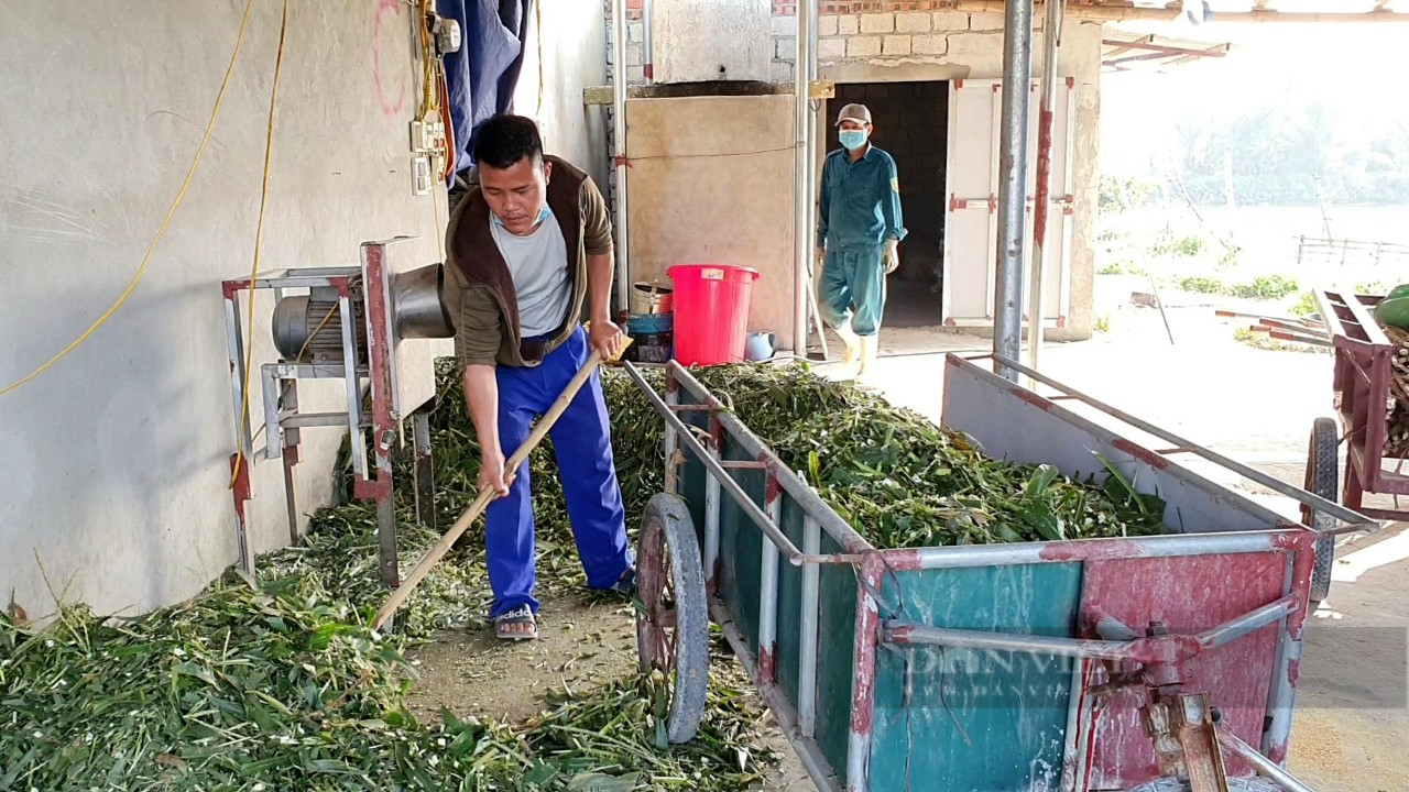 9x Thanh Hóa làm giàu từ mô hình nuôi dê Boer nhốt chuồng - Ảnh 6.