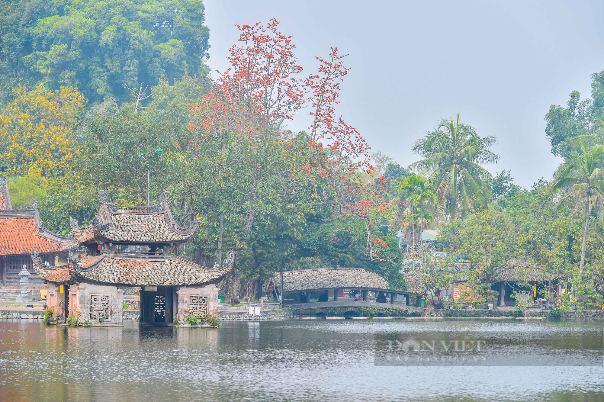 Hoa gạo nở đỏ rực bên ngôi chùa nghìn năm tuổi tại Hà Nội - Ảnh 2.