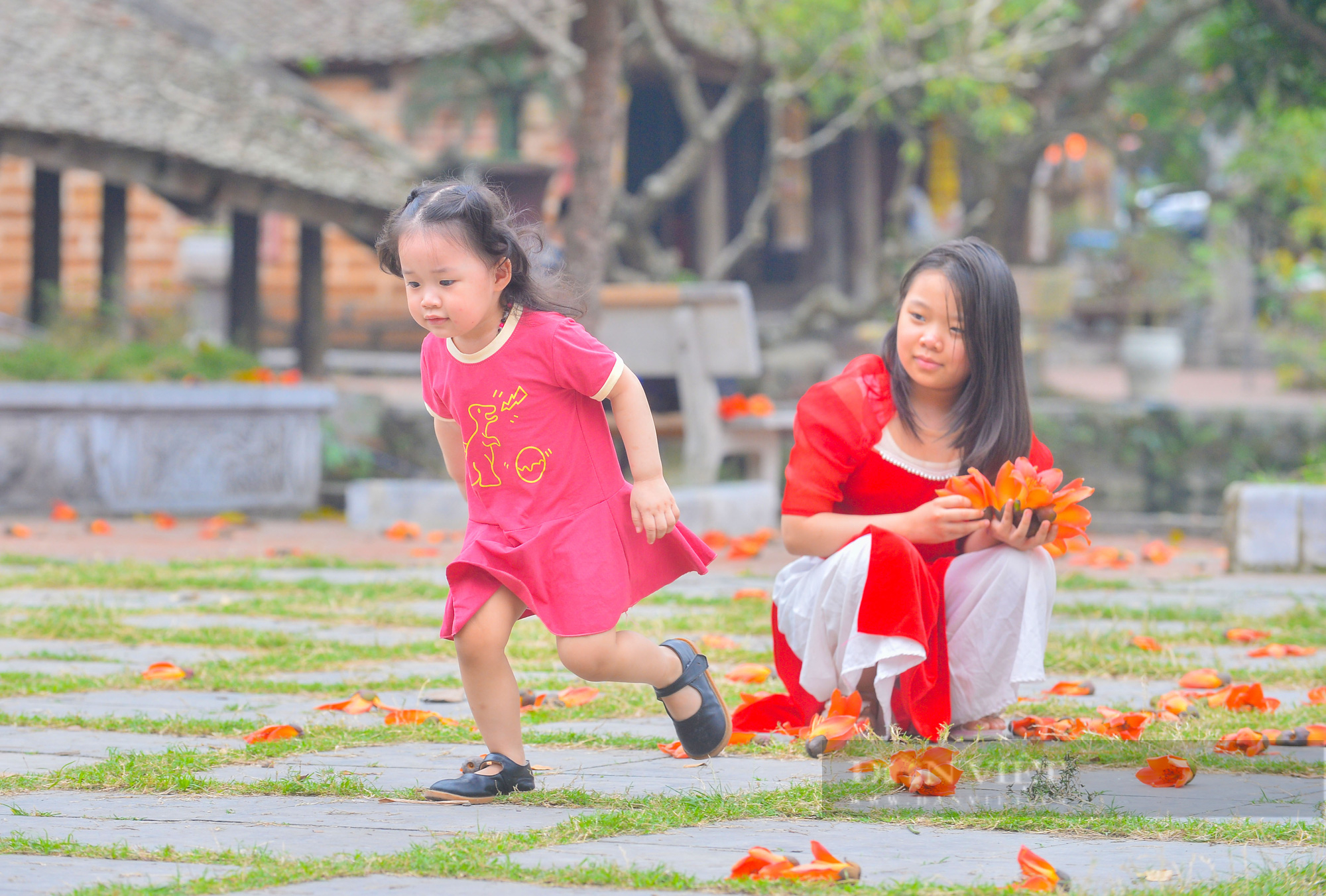 Hoa gạo nở đỏ rực bên ngôi chùa nghìn năm tuổi tại Hà Nội - Ảnh 8.