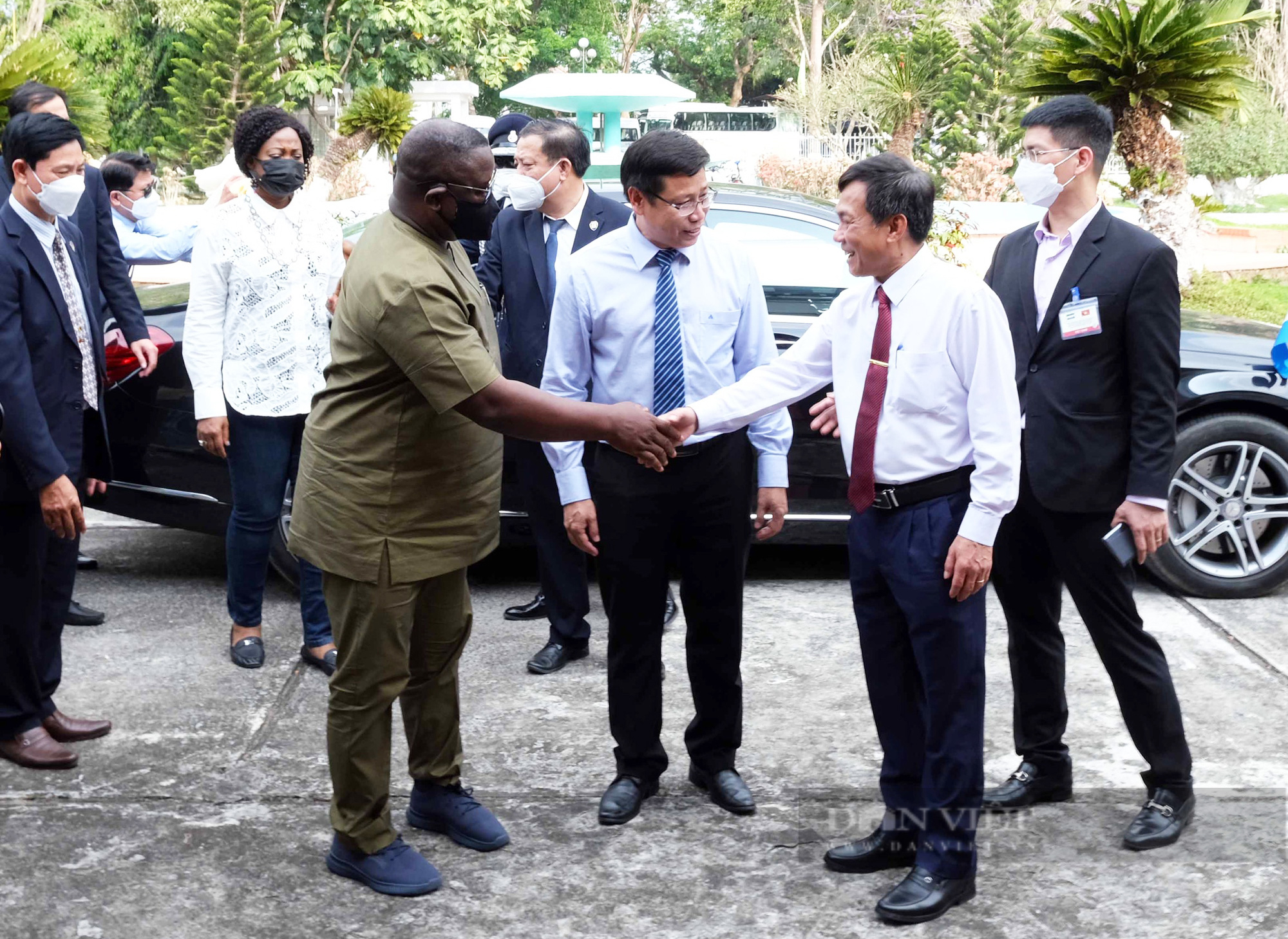 Tổng thống Sierra Leone đến thăm và làm việc tại Viện lúa Đồng bằng sông Cửu Long - Ảnh 1.