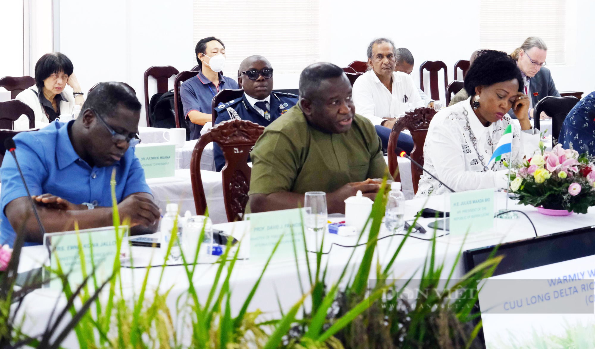 Tổng thống Sierra Leone đến thăm và làm việc tại Viện lúa Đồng bằng sông Cửu Long - Ảnh 2.