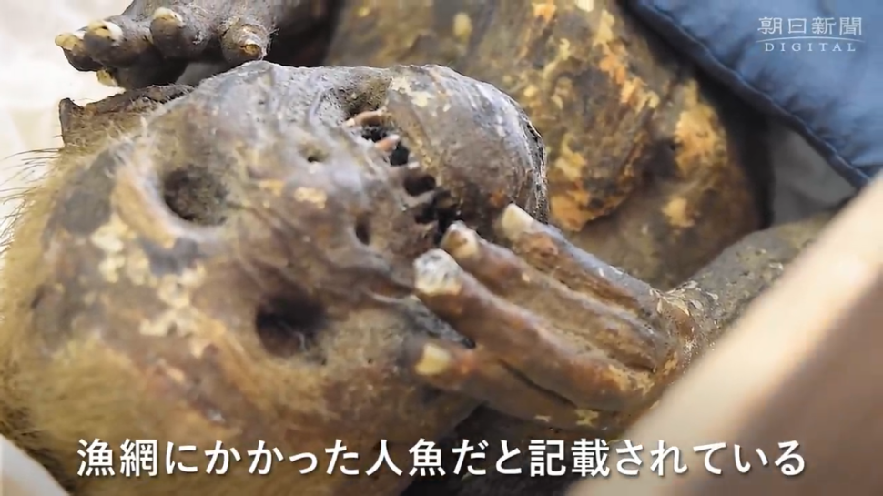 Bí ẩn xác ướp nàng tiên cá được cho là giúp người ăn &quot;trường sinh bất lão&quot; tại Nhật Bản - Ảnh 1.