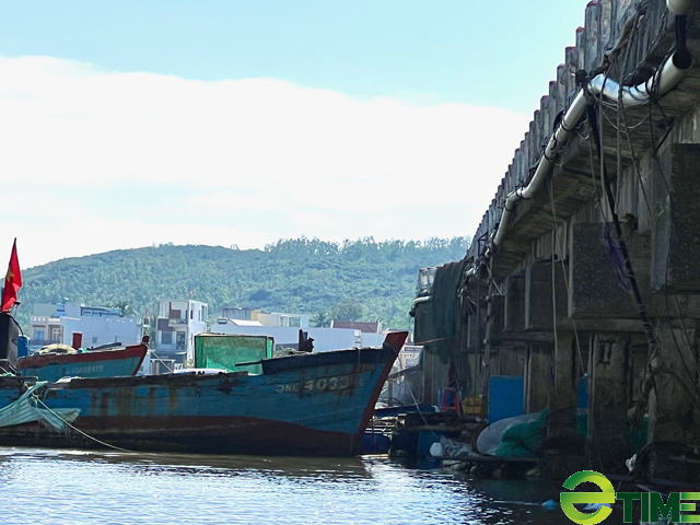 Quảng Ngãi: Phó Chủ tịch tỉnh chỉ đạo khẩn để giảm hoạ cho cầu chờ sập  - Ảnh 3.