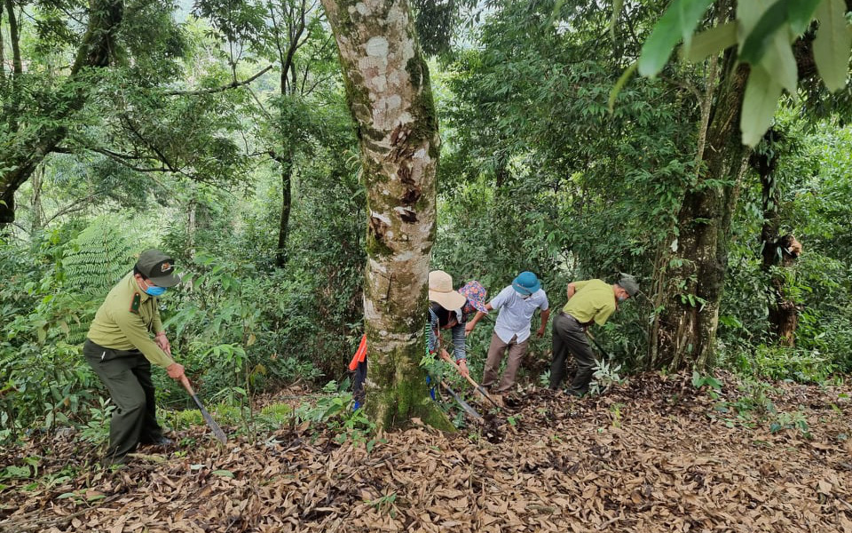 Điện Biên kiểm tra, giám sát nguồn tiền dịch vụ môi trường rừng  