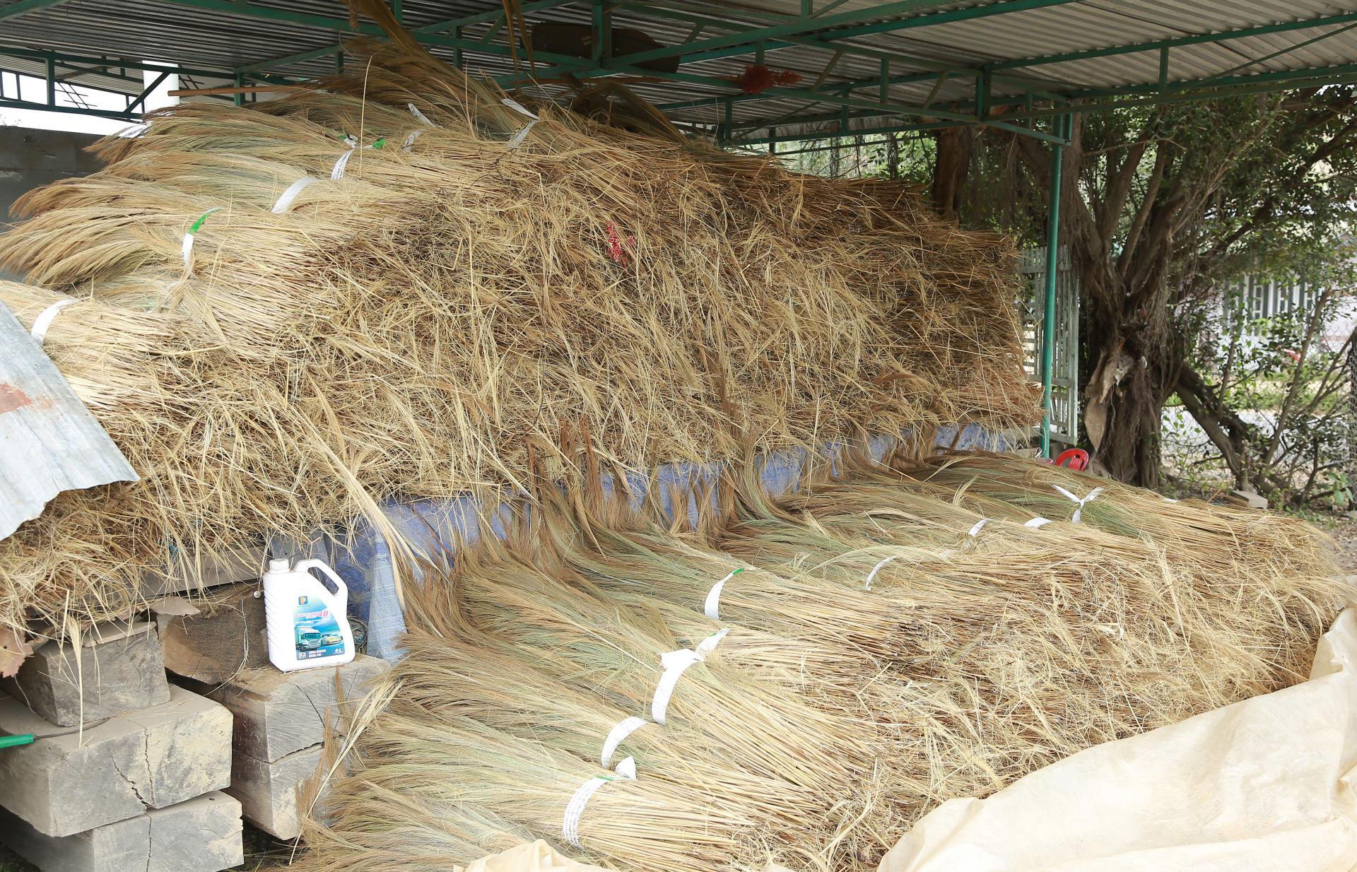 Thứ cây ví như &quot;lộc trời&quot; trổ bông miên man ở Đắk Lắk là cây gì mà dân vô rừng hái đem về bán? - Ảnh 11.