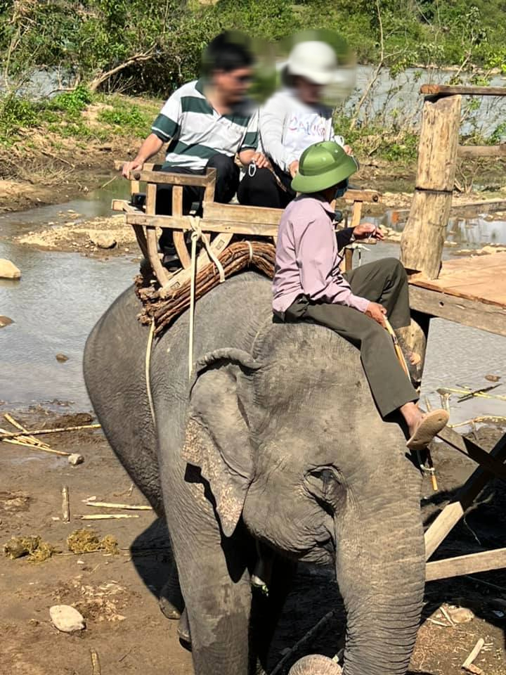 UBND tỉnh Đắk Lắk chỉ đạo dẹp bỏ du lịch cưỡi voi ngay trong năm 2022 - Ảnh 2.