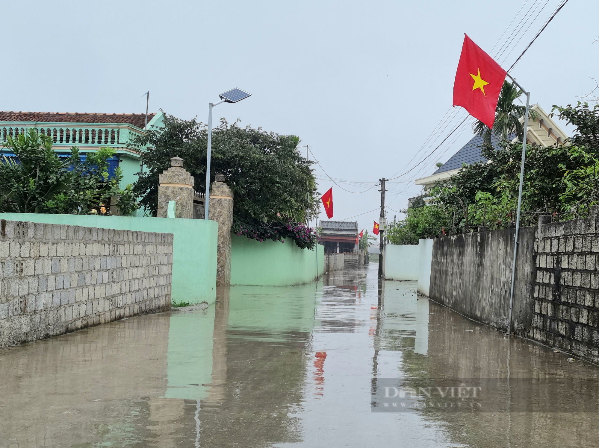 Xóm có hơn 20 hộ ở Thanh Hóa mà hiến hàng trăm m2 đất để làm đường đẹp như đường phố - Ảnh 5.