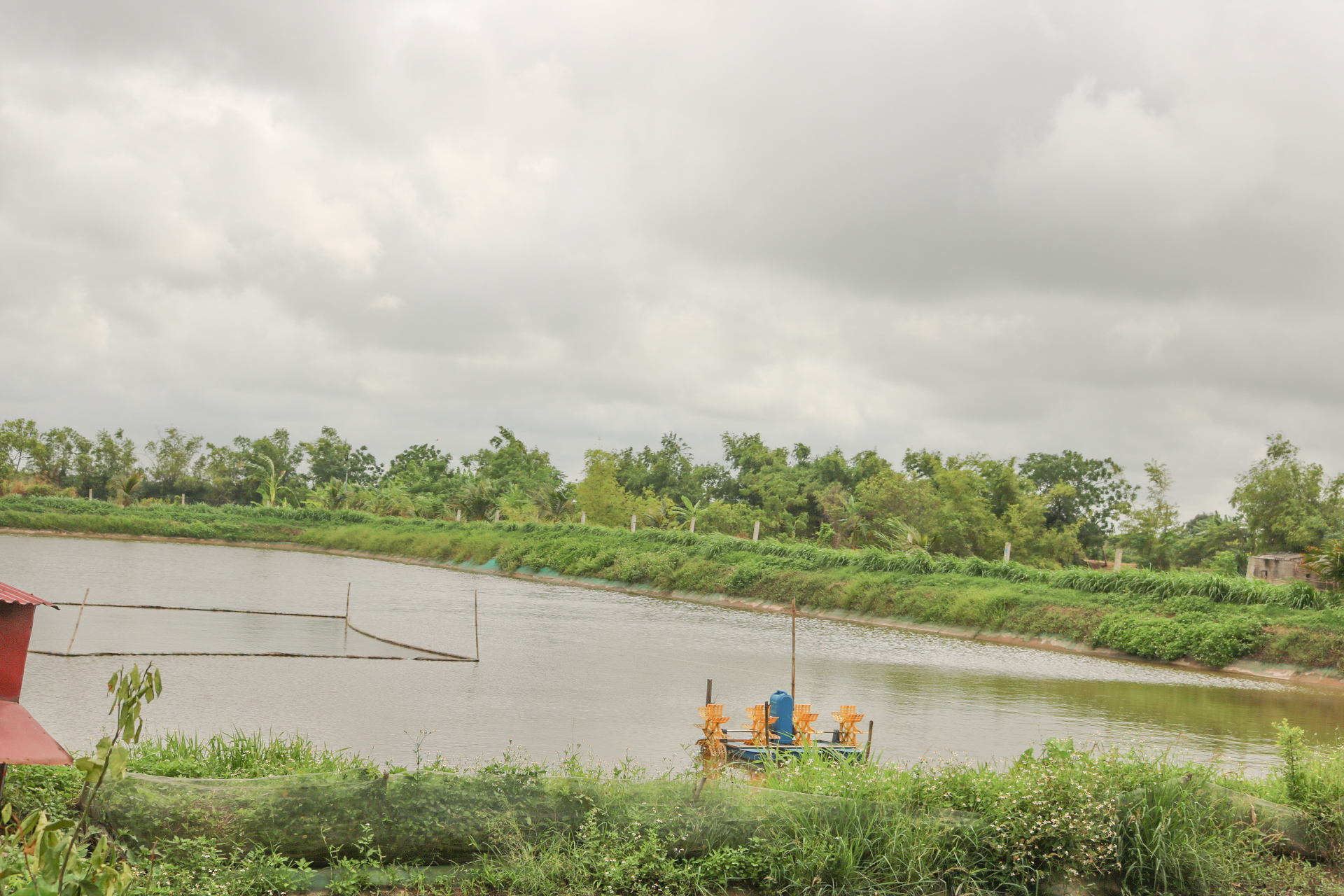 xin cấp đất làm trang trại.jpeg