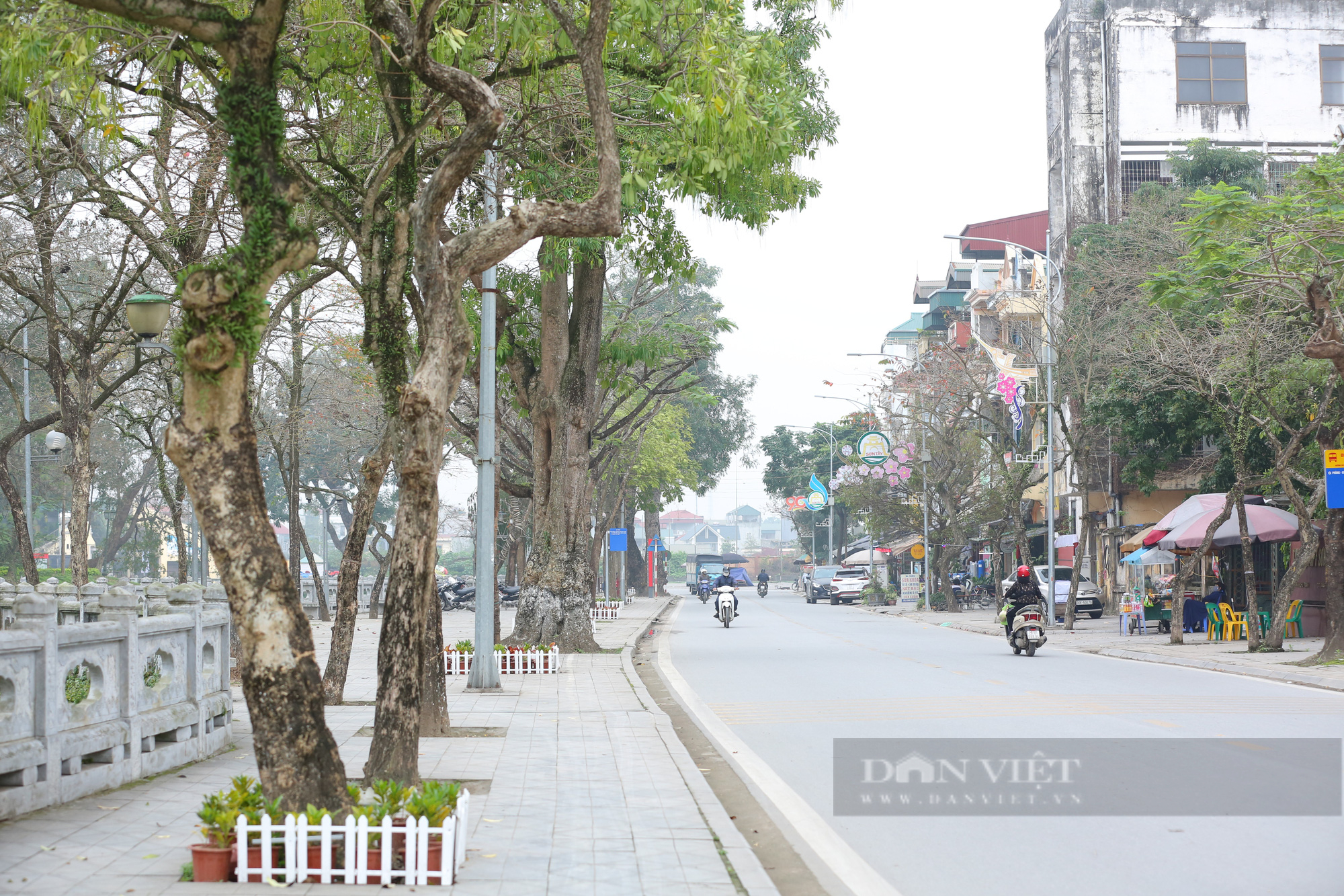 Hình hài tuyến phố đi bộ thứ 4 của Hà Nội bao quanh Thành cổ Sơn Tây - Ảnh 7.