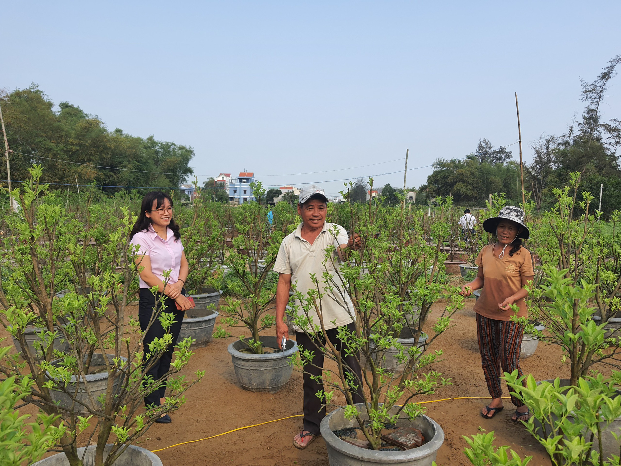 Quảng Nam: Vốn tín dụng chính sách - “Bệ phóng” cho người dân Hội An đổi đờ - Ảnh 2.