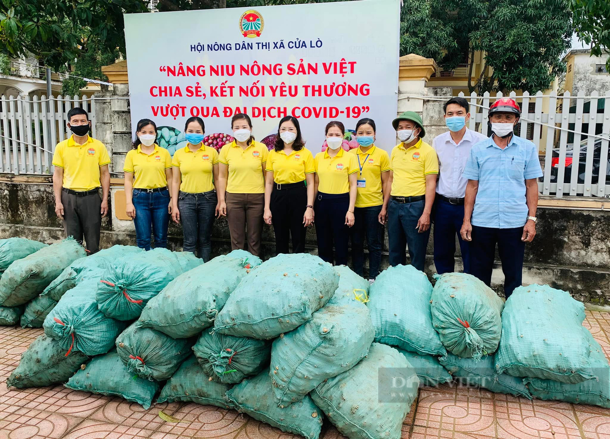 Sau 10 ngày kêu gọi, hơn 40 tấn gừng đặc sản Kỳ Sơn được Hội Nông dân bán hết veo - Ảnh 1.
