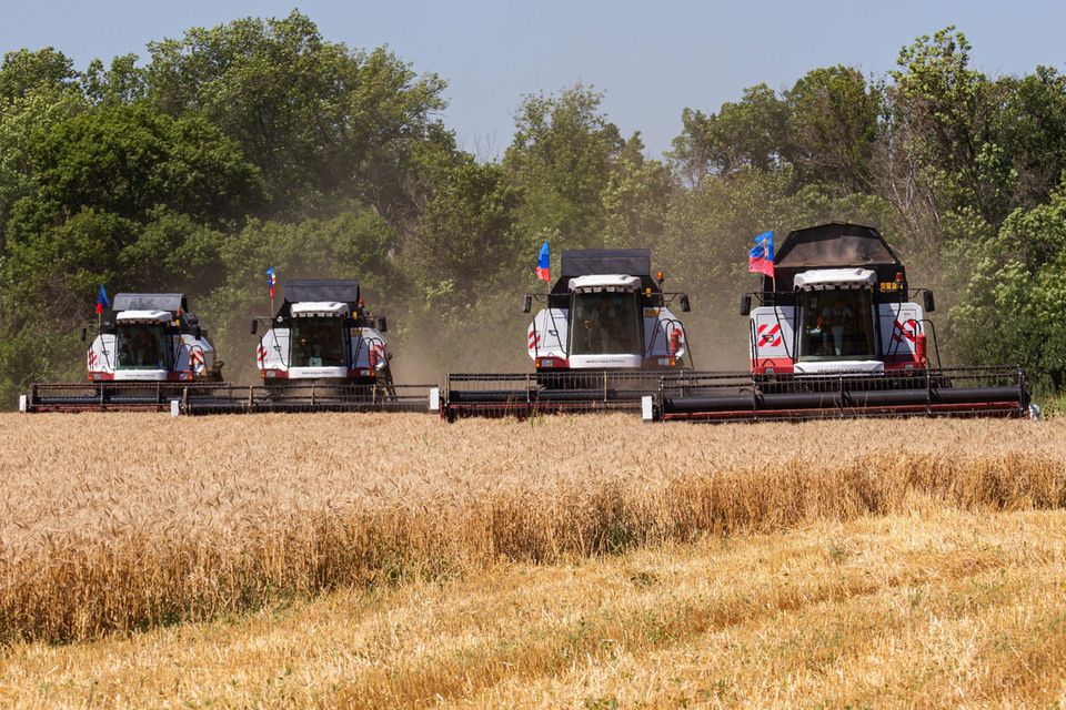 Chiến sự Nga-Ukraine: Vựa ngũ cốc của thế giới đang gặp nguy hiểm - Ảnh 3.