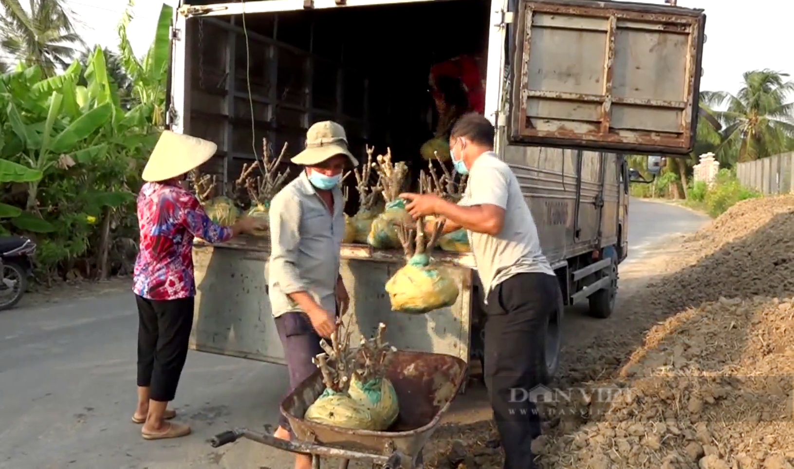 Lần đầu tiên xuất khẩu lô hàng “mặt khỉ” khủng, nông dân Tiền Giang thu tiền tỷ - Ảnh 2.