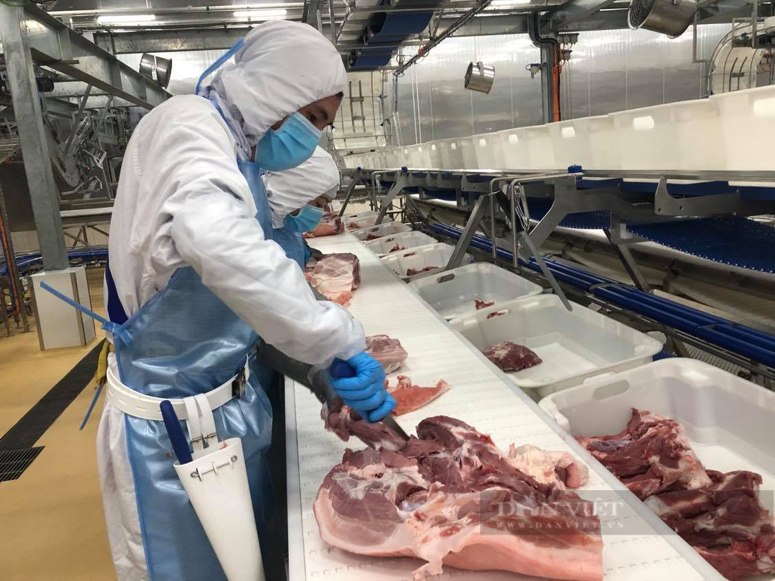 Trung Quốc tăng mua thịt lợn, doanh nghiệp Việt Nam loay hoay tìm đường xuất khẩu - Ảnh 2.