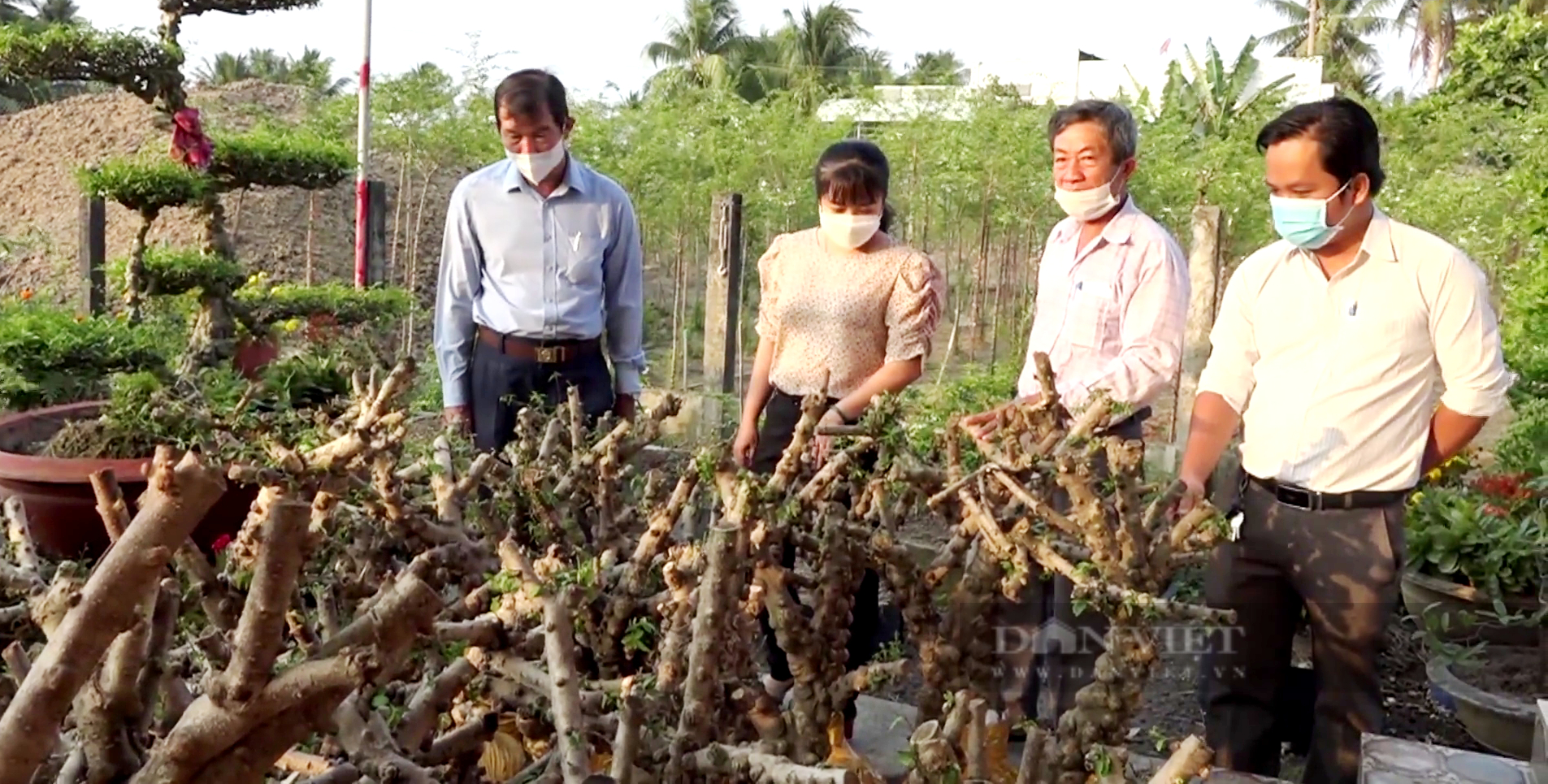 Lần đầu tiên xuất khẩu lô hàng “mặt khỉ” khủng, nông dân Tiền Giang thu tiền tỷ - Ảnh 4.